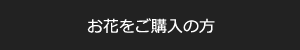 お花をご購入の方