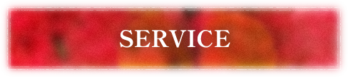 SERVICE