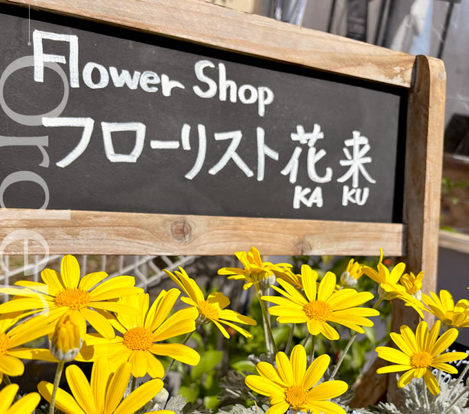取り扱い商品